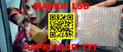 винт Краснодар
