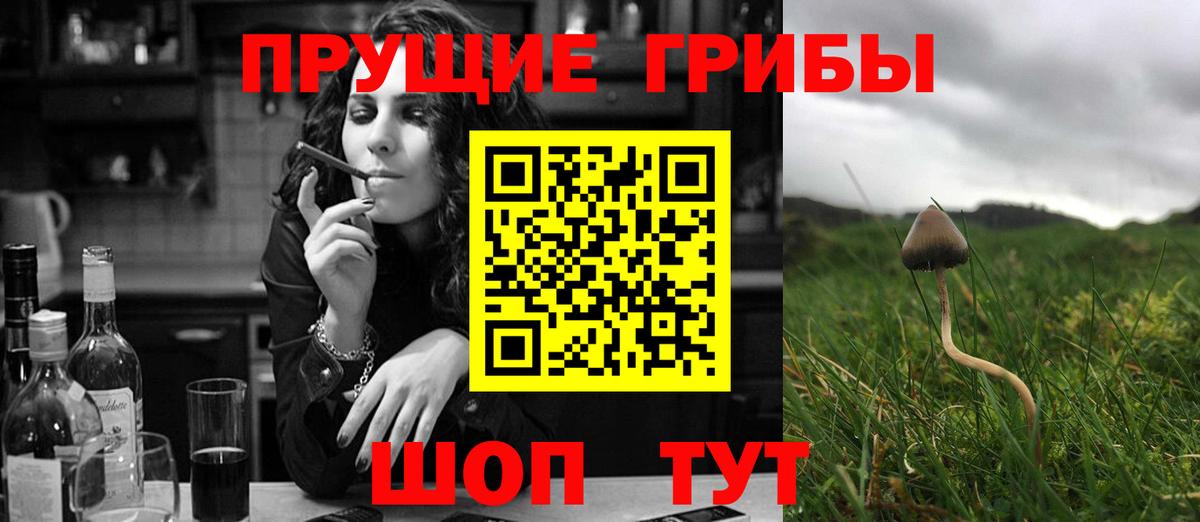 Псилоцибиновые грибы мицелий Чистополь