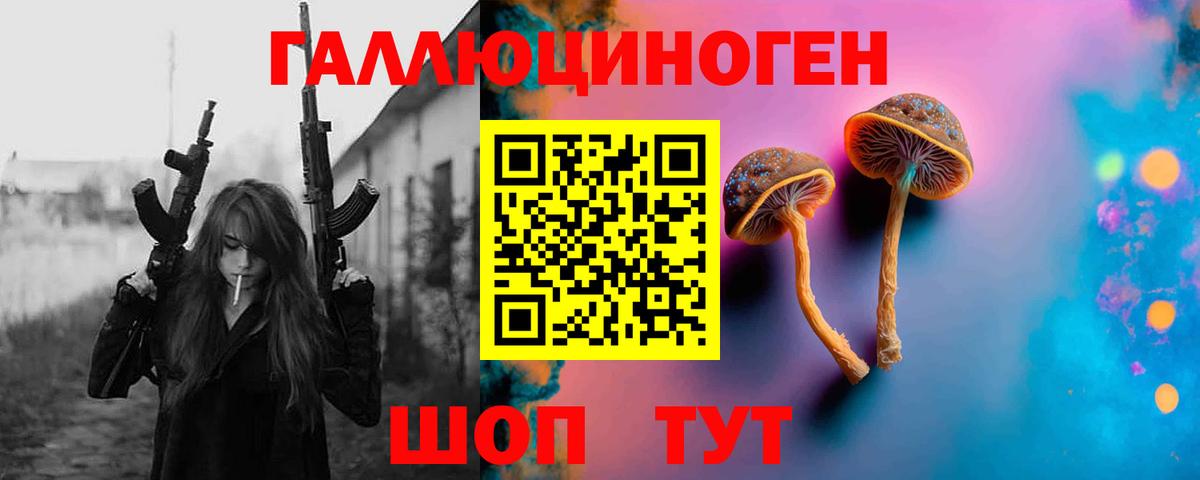 Чистополь  Псилоцибиновые грибы GOLDEN TEACHER  Вход с VPN  Галлюциногенные грибы мицелий 